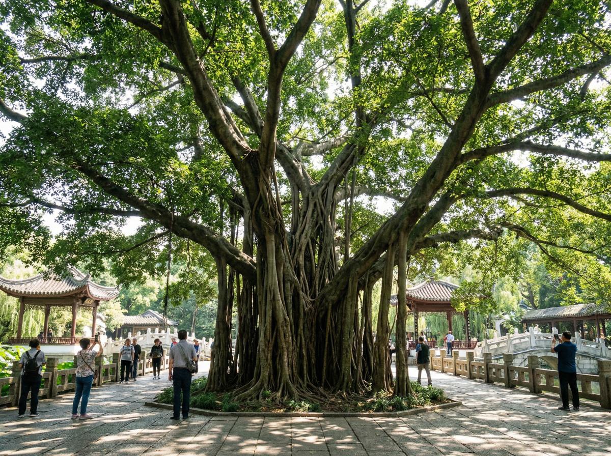 看片社区顾问王雅琴